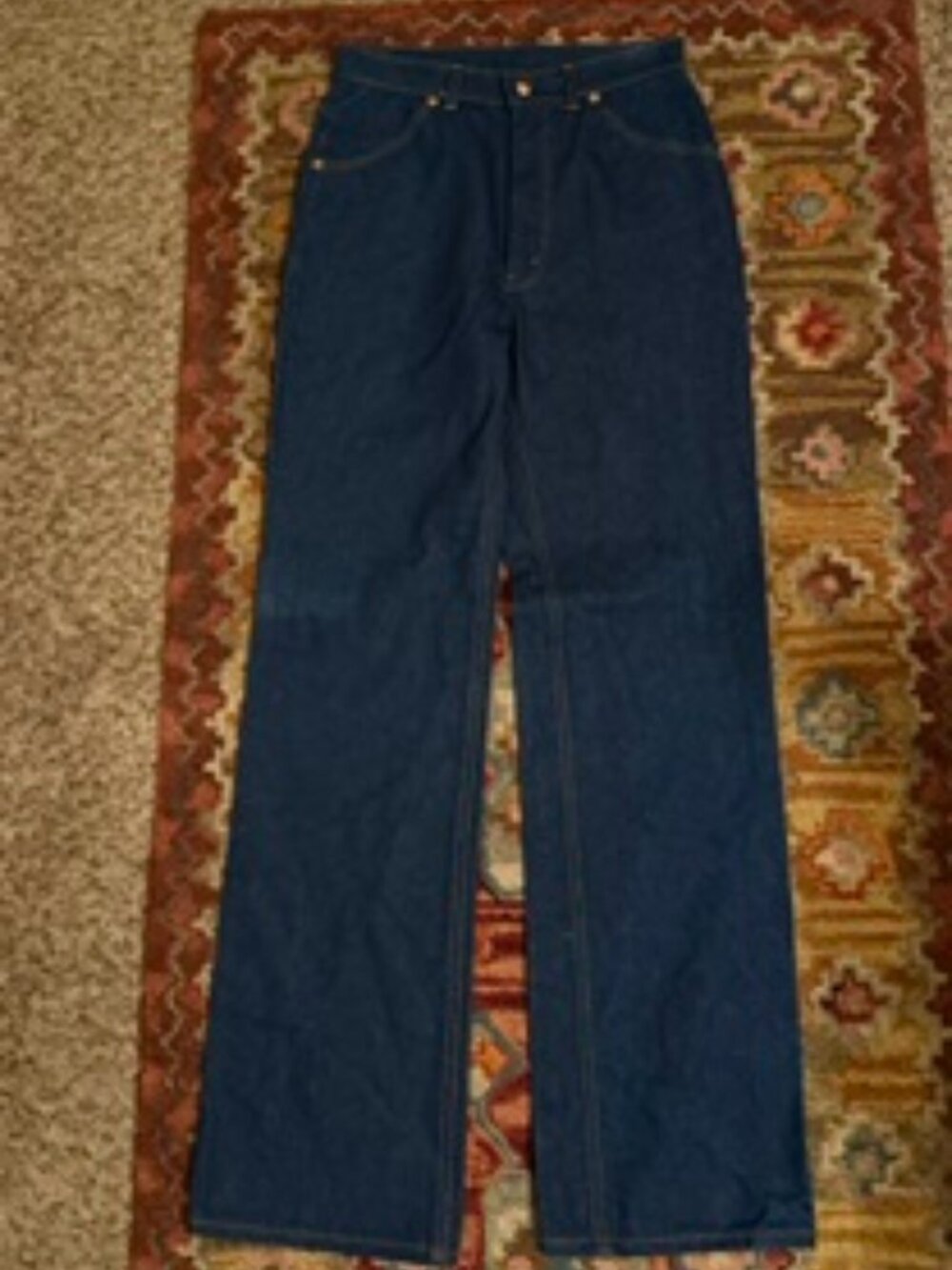 Authentic Vintage 1960s / 1970s "Cactus Flower" Embroidered High-Waisted Jeans